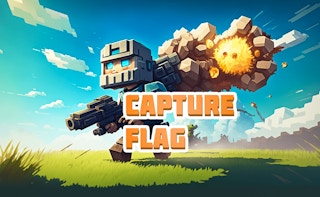 Image Capture Flag