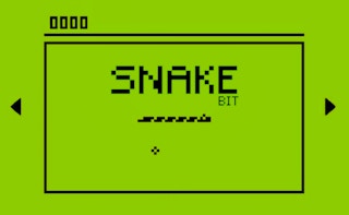 Image SnakeBit 3310